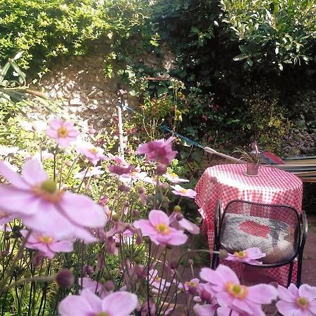 Cosy 1 Bedroom With Garden 2 Min From Seafront Brighton Eksteriør bilde