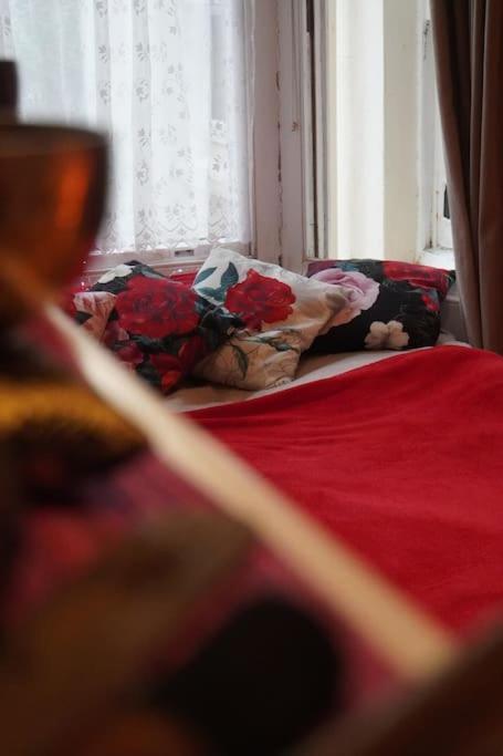 Cosy 1 Bedroom With Garden 2 Min From Seafront Brighton Eksteriør bilde