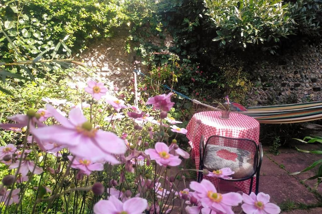 Cosy 1 Bedroom With Garden 2 Min From Seafront Brighton Eksteriør bilde