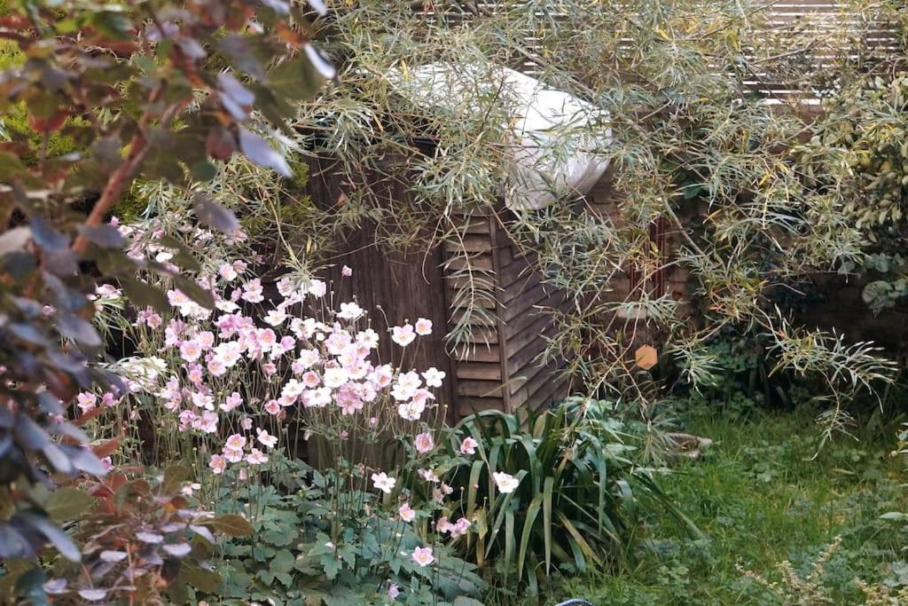 Cosy 1 Bedroom With Garden 2 Min From Seafront Brighton Eksteriør bilde